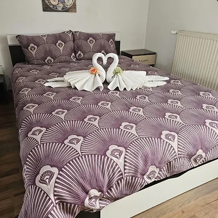 Casa Ana Апартаменты Клуж-Напока